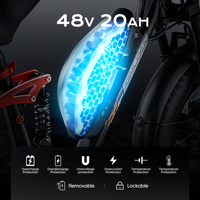 تصميم جديد eahorterra 2 48v w محرك مزدوج الإطارات الدهنية دراجة كهربائية الطريق الهجينة طويلة المدى E الدراجة