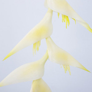 Fleur artificielle QIHAO en forme d'oiseau pleureur à longues branches, 132 cm, en plastique souple, haute simulation, pour décoration de mariage - Product Image 3