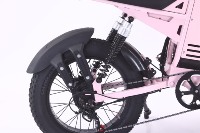Vélo de montagne à pneus larges de 20 pouces, moteur arrière sans balais, 48V 500W, batterie au lithium 13Ah, 7 vitesses, neige, 43 km/h, freins à disque hydrauliques