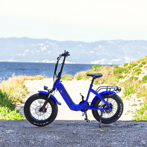 Bicicleta Eléctrica Plegable con Motor de Cubo de 500W y Neumáticos Anchos, Modelo FT-016, de Proveedor OEM - Product Image 5