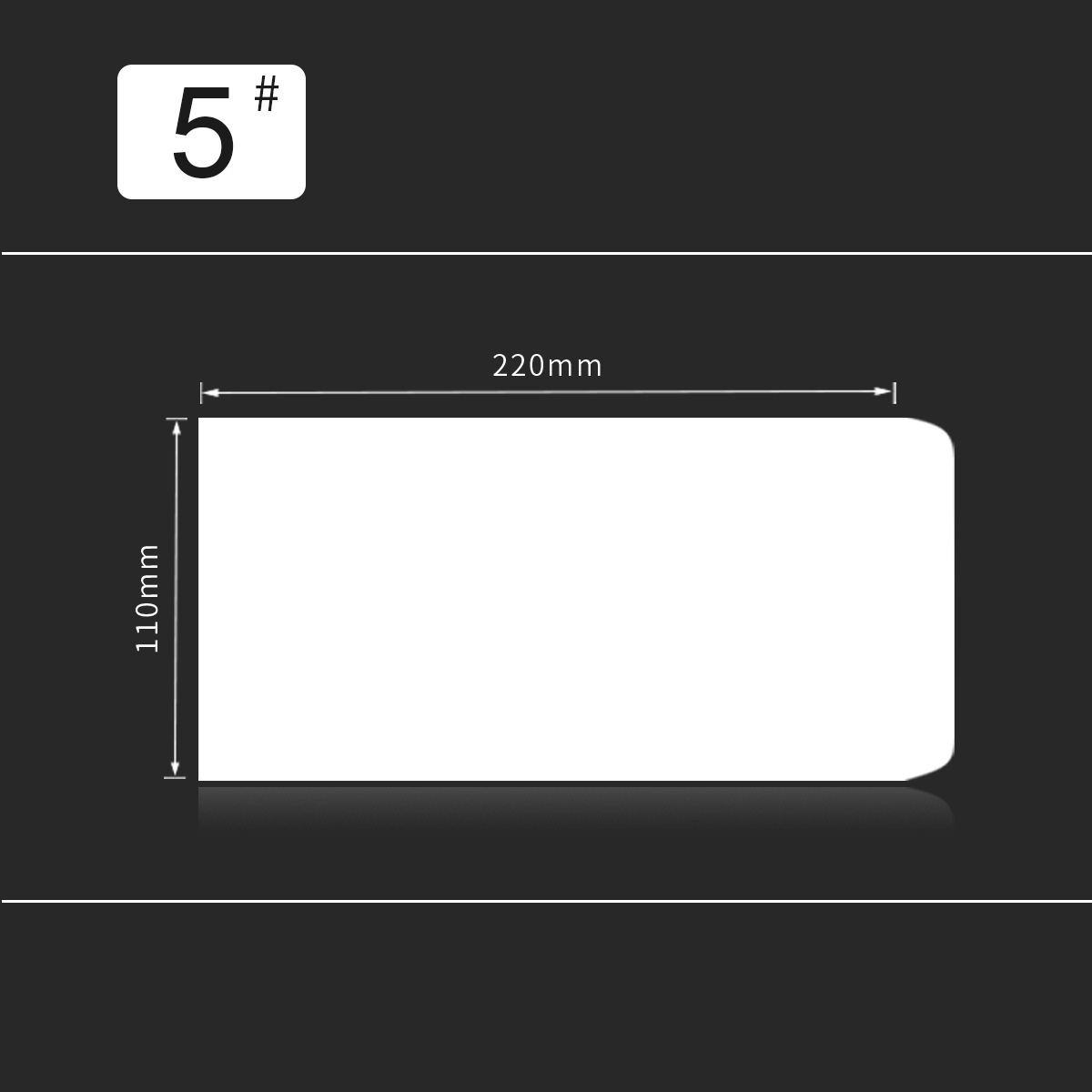 220x110mm