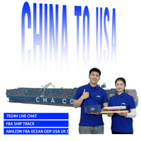 Importateurs Agent maritime DDP Chine vers États-Unis, Royaume-Uni, Allemagne, France, Australie Importation de marchandises Dédouanement Taxe payée Livraison porte-à-porte LCL FCL Amazon
