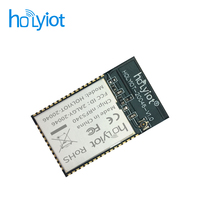 Modul Holyiot Wireless NRF5340 Modul Sistem Transmisi dan Penerimaan Radio Daya Rendah Berbasis BLE 5.3 Low Energy NRF5340