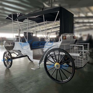 Carruaje de Cenicienta de Estilo Clásico Simple, Eléctrico o con Caballos, Ideal para Alquileres de Bodas y Lugares de Entretenimiento - Product Image 1