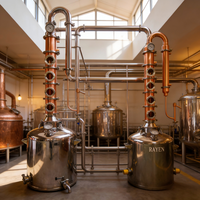 Système de distillation compact en cuivre pour la fabrication de moonshine et de gin à usage domestique