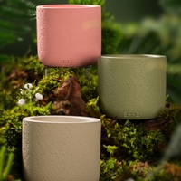 Bougie parfumée en cire de soja dans un pot en céramique à texture ciment, mèche en bois, 160g, boîte cadeau artisanale pour la décoration de la table à la maison