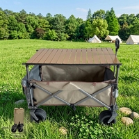 Chariot de camping pliable en acier inoxydable avec roues tout-terrain, léger et portable, pour courses et épicerie - Vente en gros