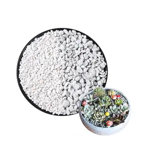 Nhà Sản Xuất Cung Cấp Perlite Hạt Cho Trồng Hoa Và Kỵ Nước Perlite Cho Xây Dựng Mái Nhà Vật Liệu Cách Nhiệt