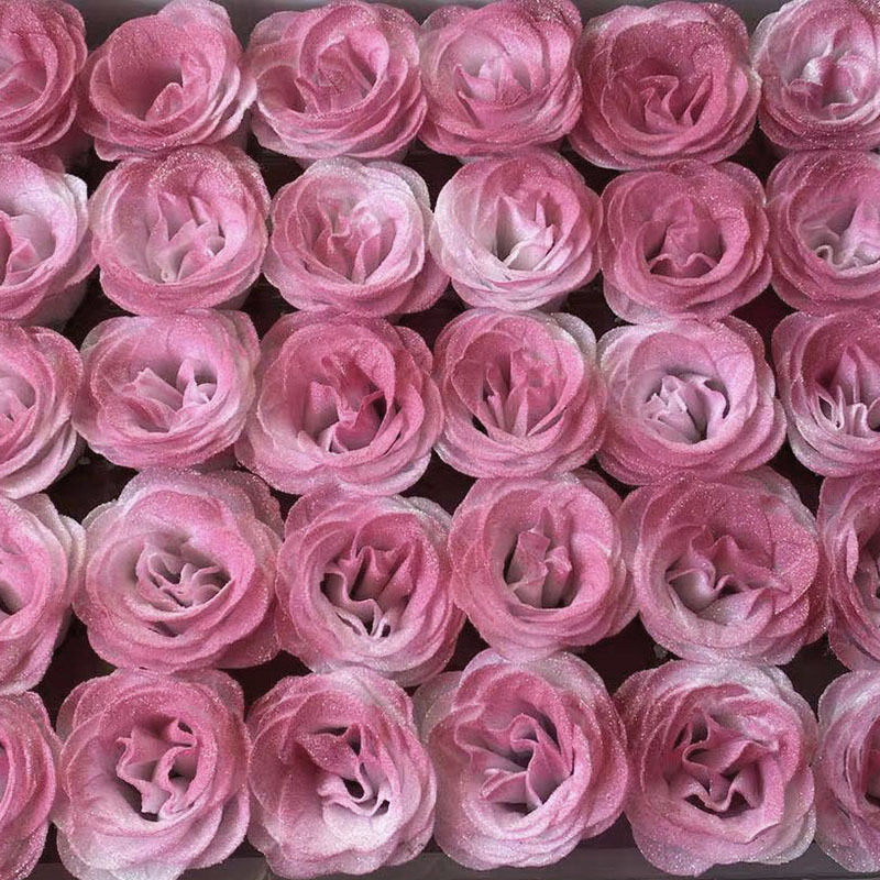 rosa princesa