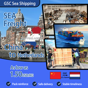 Professional Sea Express Logistics Freight Forwarder China Shipping Agent para LCL + Trucking Holanda Rotterdam Amsterdam - Product Image 1