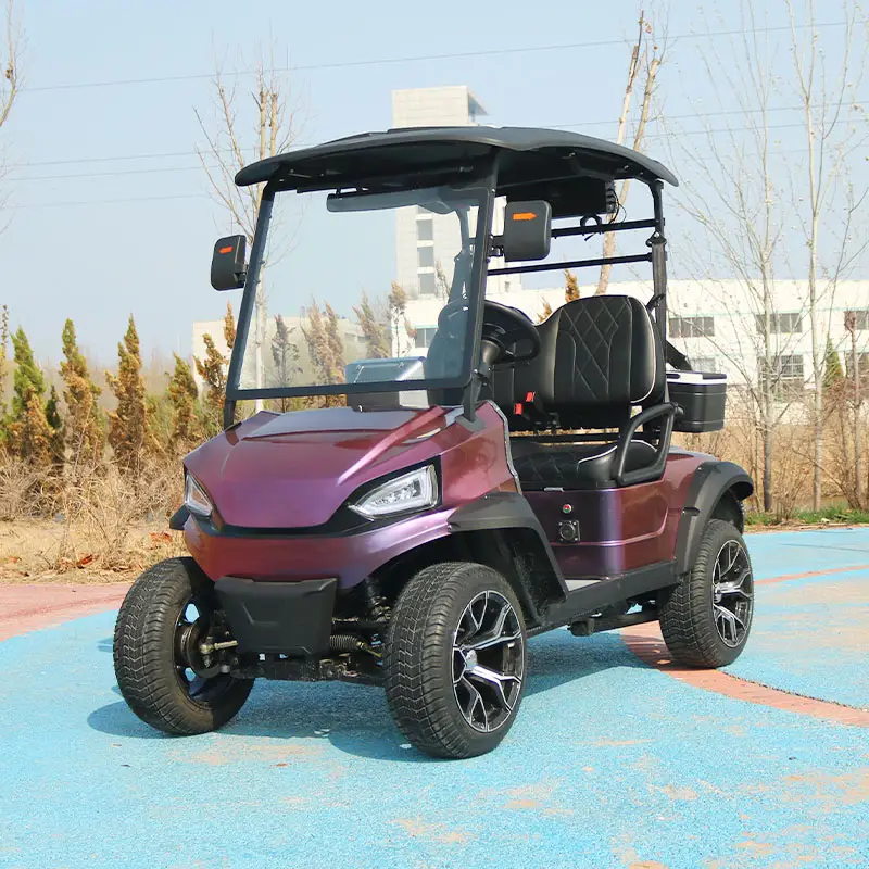4 Seater Hunting Custom Battery 48 Volt Lithium Powered Street Legal Electric Golf Cart with Curtis controller