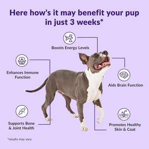 Suppléments de soins de santé pour animaux de compagnie à mâcher 23-1 comprimés de glucosamine multi-vitamines pour chiens chats suppléments de santé de sécurité toutes races - Product Image 3