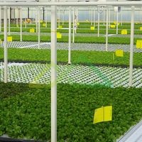 Serre agricole commerciale PandaGreenhouse, grande, multi-voûtes, avec couverture en plaques de polycarbonate, système hydroponique NFT