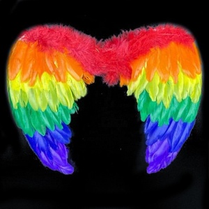 <span class=keywords><strong>Ali</strong></span> d'<span class=keywords><strong>Angelo</strong></span> Economiche per Carnevale Fatato, Design Artigianale con Piume Colorate per Halloween, Cosplay e Feste Danzanti - Product Image 2