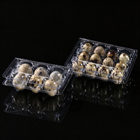 Plateau de rangement pour œufs de caille 6 12 15 18 20 24 30 - Emballage en plastique transparent PET - Barquette à œufs de caille avec couvercle
