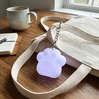 Porte-clés LED Patte de Chat Mignonne OEM, Veilleuse Rechargeable USB avec Capteur Tactile, Mini Pendentif de Sac, Cadeau Créatif pour Décoration de Sac à Dos