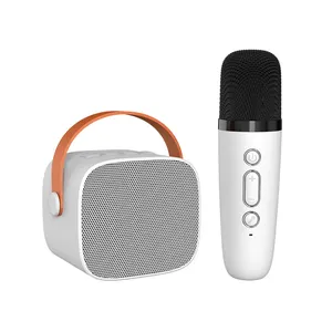 Toptan fabrika fiyat ses değiştirme Bluetooth bağlı kablosuz müzik Karaoke çalar taşınabilir mikrofon hoparlör seti kiti