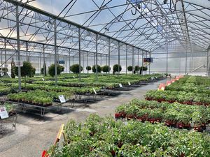 ONE-one Agriculture Grande maison verte Cadre en métal Double couche Film PE Multispan Tunnel de culture de légumes - Product Image 2