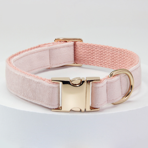 Wholesale Luxury Design Pet Dog Collar Custom Logo Durable Nylon Polyester Material Waterproof Solid Animal Buckle for Cats
