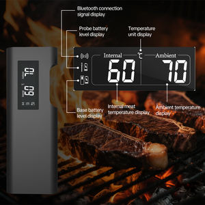 Lonnmeter OEM y ODM compatible termómetro inalámbrico para carne IP68 impermeable 304 Sonda de acero inoxidable App Control termómetro para carne - Product Image 3