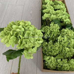 B-729 <span class=keywords><strong>Comprar</strong></span> al por Mayor Decoración para el Hogar, Hortensia Verde Artificial, Flores de Tacto Natural, Tallo Único, Rama Larga, Hortensia de Látex - Product Image 4