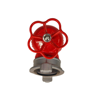 Hydrant d'incendie/vanne d'angle pour incendie, connecteur de type russe Dn50/dn65
