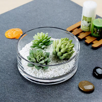 Vase carré en verre transparent, style minimaliste moderne, cylindre plat, tube droit, pour table, mariage, hydroponie, Pothos - Vente en gros usine