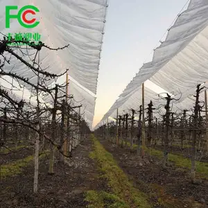 130gr/sqm -150gr/sq.m kiraz meyve bahçelerini ve yumuşak meyveli meyveleri örtmek için kullanılan şeffaf plastik branda