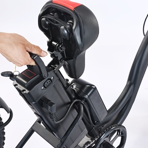 350W 500W 10A 15Ah <span class=keywords><strong>batterie</strong></span> au lithium 20*4 pouces gros pneu 3 roues tricycle <span class=keywords><strong>électrique</strong></span> <span class=keywords><strong>avec</strong></span> panier 3 roues <span class=keywords><strong>vélo</strong></span> cargo <span class=keywords><strong>électrique</strong></span> - Product Image 6