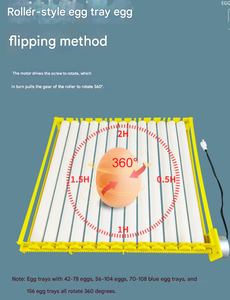 Incubadora Totalmente Automática, Bandeja de Plástico para <span class=keywords><strong>Huevos</strong></span> de Codorniz, Incubadora para Pollos, Patos, Gansos, Codornices y Aves, Incubadora Pequeña de Bajo Consumo - Product Image 3
