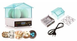 Máy ấp trứng Mini Dễ thương Máy tự động 4 Máy ấp trứng thông minh nhiệt độ không đổi ấp trứng cho gia đình - Product Image 5