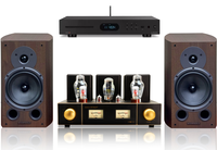 Système d'amplification numérique stéréo haut de gamme à deux canaux de la série Veteran M6, amplificateur à tubes 300B-7, système de divertissement