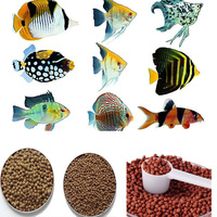 Machine d'extrusion de ligne de production d'aliments pour poissons aquatiques flottants, extrudeuse à double vis pour la fabrication d'aliments pour poissons