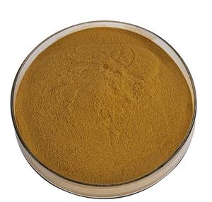 Bubuk Ekstrak Herbal Alami <span class=keywords><strong>Notoginseng</strong></span> dari Huakang Supply Health Food - Product Image 3