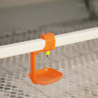 Système d'abreuvement automatique pour volailles avec valves en acier inoxydable 304 pour équipement d'élevage avicole à grande échelle