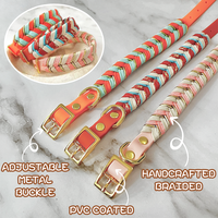 Collier pour chien tressé artisanal de qualité supérieure, design élégant, collier recouvert de PVC pour chiots