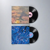 Professional Manufacture Reissue Special Collector'S Edition Disque Vinyle