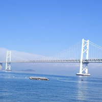 Puente Peatonal Duradero con Estructura de Acero, Viga Metálica Personalizada, Diseño Prefabricado para Cruce Comunitario