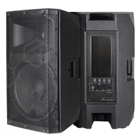 Accuracy Pro Audio CAC15APC 15 "pulgadas DJ Home Sound Box Altavoz Altavoces profesionales Powered Professional Active Speaker1