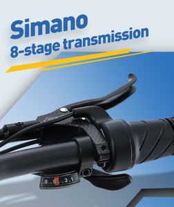 Vélo électrique de montagne personnalisé de haute qualité 800W/48V/20AH avec moteur à moyeu arrière, nouveau design, directement du fabricant chinois - Product Image 4