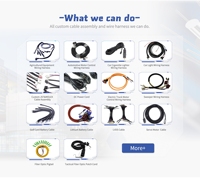 Lesun مخصص 2 3 4 5 6 7 8 9 10 12 13 14 15 16 18 20 24 30 40 دبوس كابل idc بشريط مسطح
