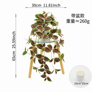 Plante artificielle suspendue An Yun, lierre vert en soie, 30cm-100cm, avec ou sans pot, pour décoration murale intérieure ou balcon. - Product Image 5