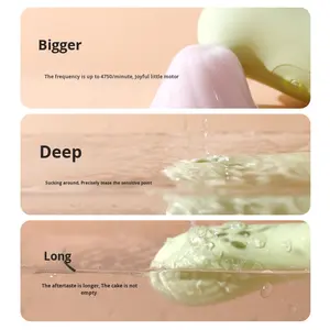 Pemanas pintar Vibrator penghisap untuk wanita, perangkat masturbasi wanita, Vibrator singa laut kecil dengan pengendali jarak jauh, Vibrator penghisap untuk wanita - Product Image 5