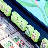 Offre Spéciale – Ensemble de Mahjong Américain Moderne Vert Menthe Transparent en Acrylique de Haute Qualité, 160 Tuiles Peintes à la Main et Sculptées, Portable