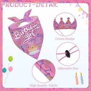 ชุดคอสตูมห่านสำหรับวันเกิดแบบมีหลังคาแยกสี ขนาด 23 / 17 นิ้ว - Product Image 3