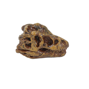 Oferta Especial: Estatua de Dinosaurio Calavera de PVC para Decoración - Product Image 5