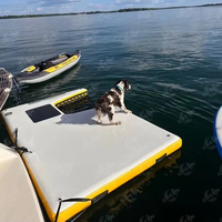 Gonflable Chien Rampe Piscine Dock Plate-forme Escaliers Grand Flottant Eau Botes Tipo Jouer Chien pour Bateau