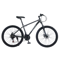 Vélo de montagne en acier le moins cher 24 26 27,5 29 pouces, cadre en acier, roue en alliage de magnésium, Bicicleta, frein à disque, 21 vitesses, vélo de montagne pour hommes