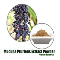Pasokan pabrik ISO bersertifikat Mucuna Pruriens biji bubuk buah ekstrak liar beludru beanpowder produk perawatan kesehatan 5A botol