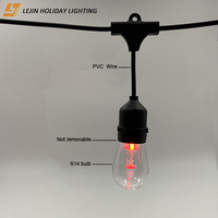 Vente flash : Guirlande lumineuse intelligente LED pour extérieur, idéale pour la décoration de fêtes et de jardins